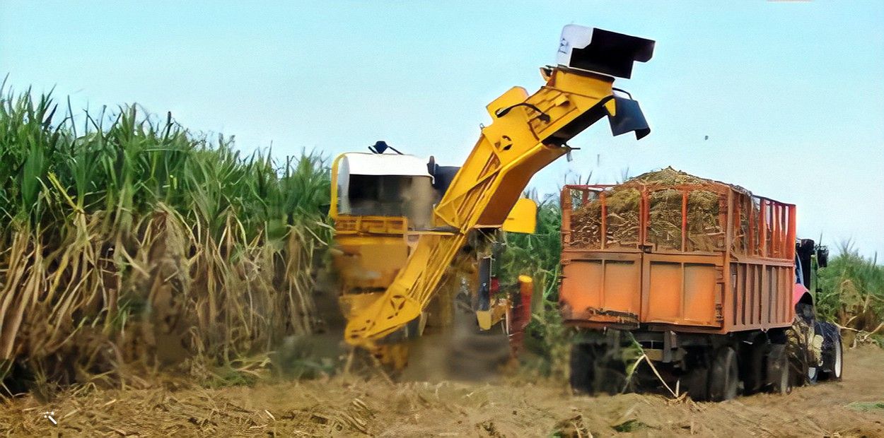 Comienza la zafra azucarera 2022-2023 en Cuba con el peor plan productivo en más de 100 años