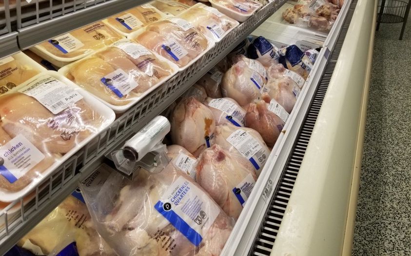 Empresarios estadounidenses quieren incrementar sus ventas de pollo en Cuba