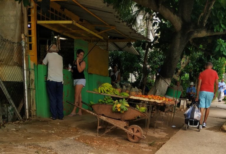 agromercado-alimentos-viandas-cuentapropismo-vegetales-frutas-4-768x524